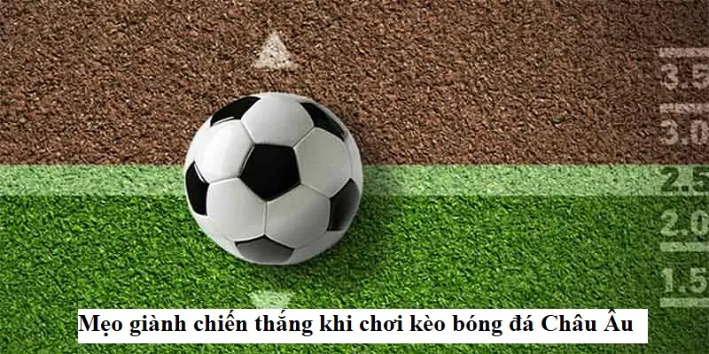 Chiến thuật soi Kèo châu Âu hiệu quả cùng kèo nhà cái