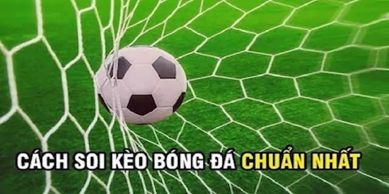 Hiểu đúng về kèo bóng đá trong cá cược thể thao