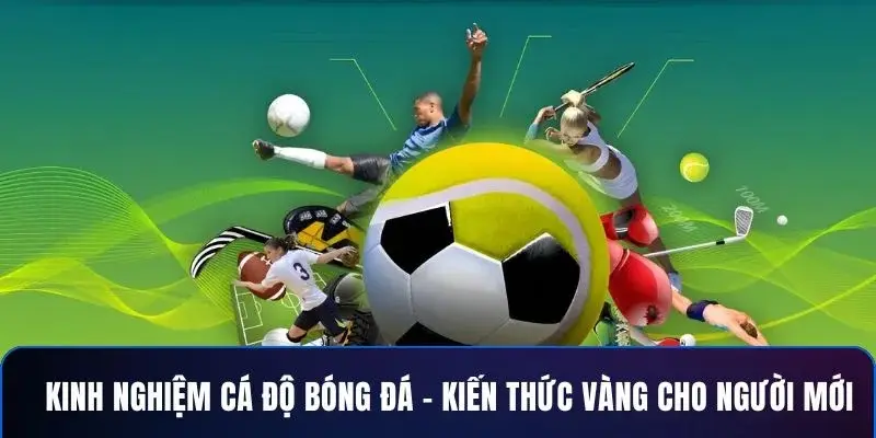 Vì sao cần áp dụng chiến lược cá độ trong cá cược trực tuyến